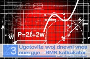 Najboljši vodnik za hujšanje – dnevna poraba energije in BMR kalkulator