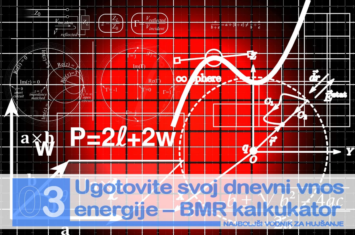 Najboljši vodnik za hujšanje - dnevna poraba energije in BMR kalkulator