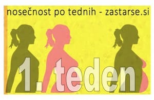 1. teden nosečnosti