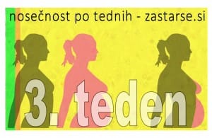 3. teden nosečnosti