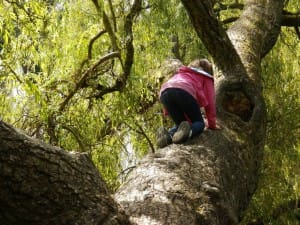 Tvegana igra: zakaj jo otroci obožujejo in potrebujejo