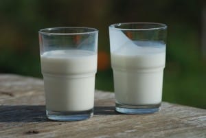 Kefir – zdravilna gobica s Kavkaza