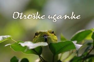 Otroške uganke