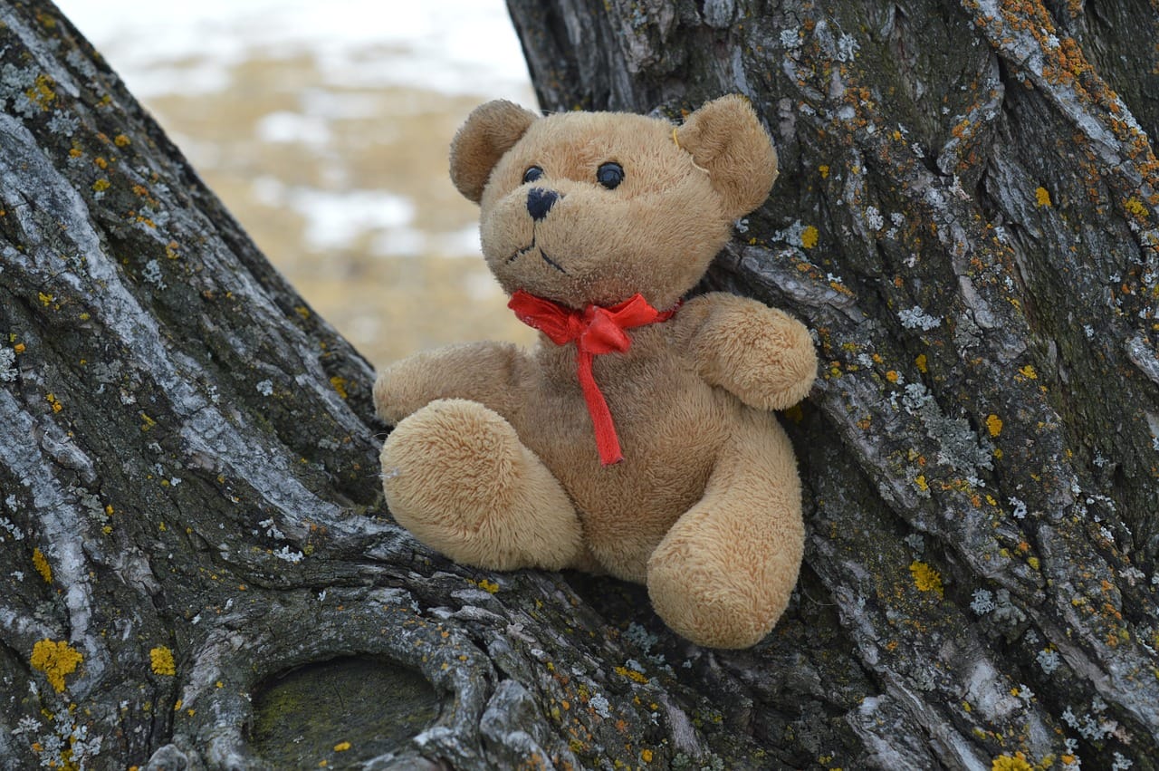 Danajine zlate pravljice: Izgubljeni medvedek - pravljice za lahko noč