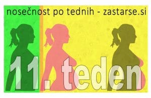 11. teden nosečnosti