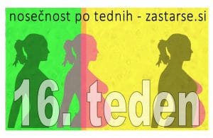 16. teden nosečnosti
