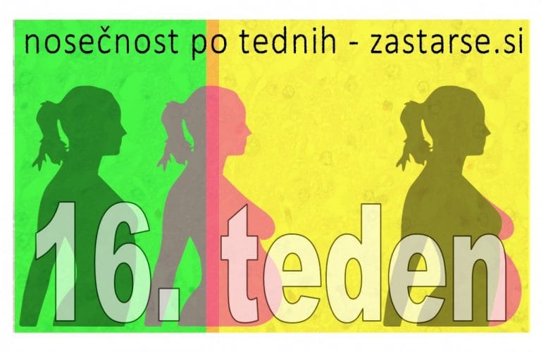 16. teden nosečnosti