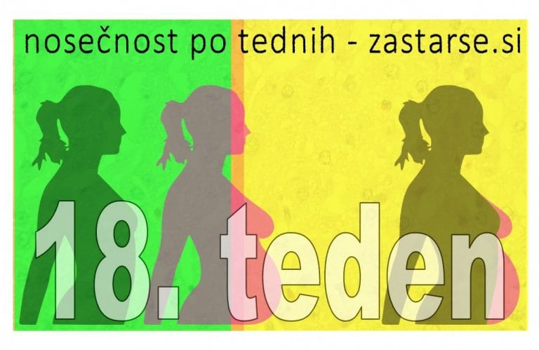 18. teden nosečnosti