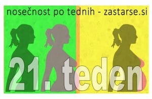21. teden nosečnosti
