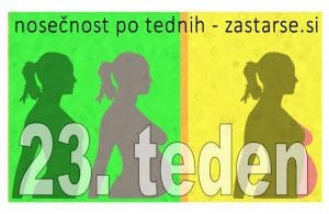23. teden nosečnosti