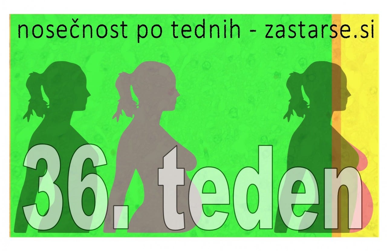 36. teden nosečnosti