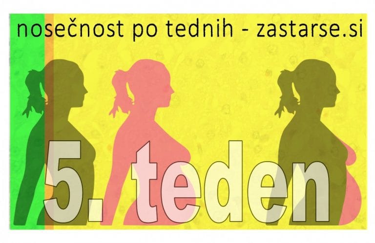 Nosečnost po tednih - 5.teden