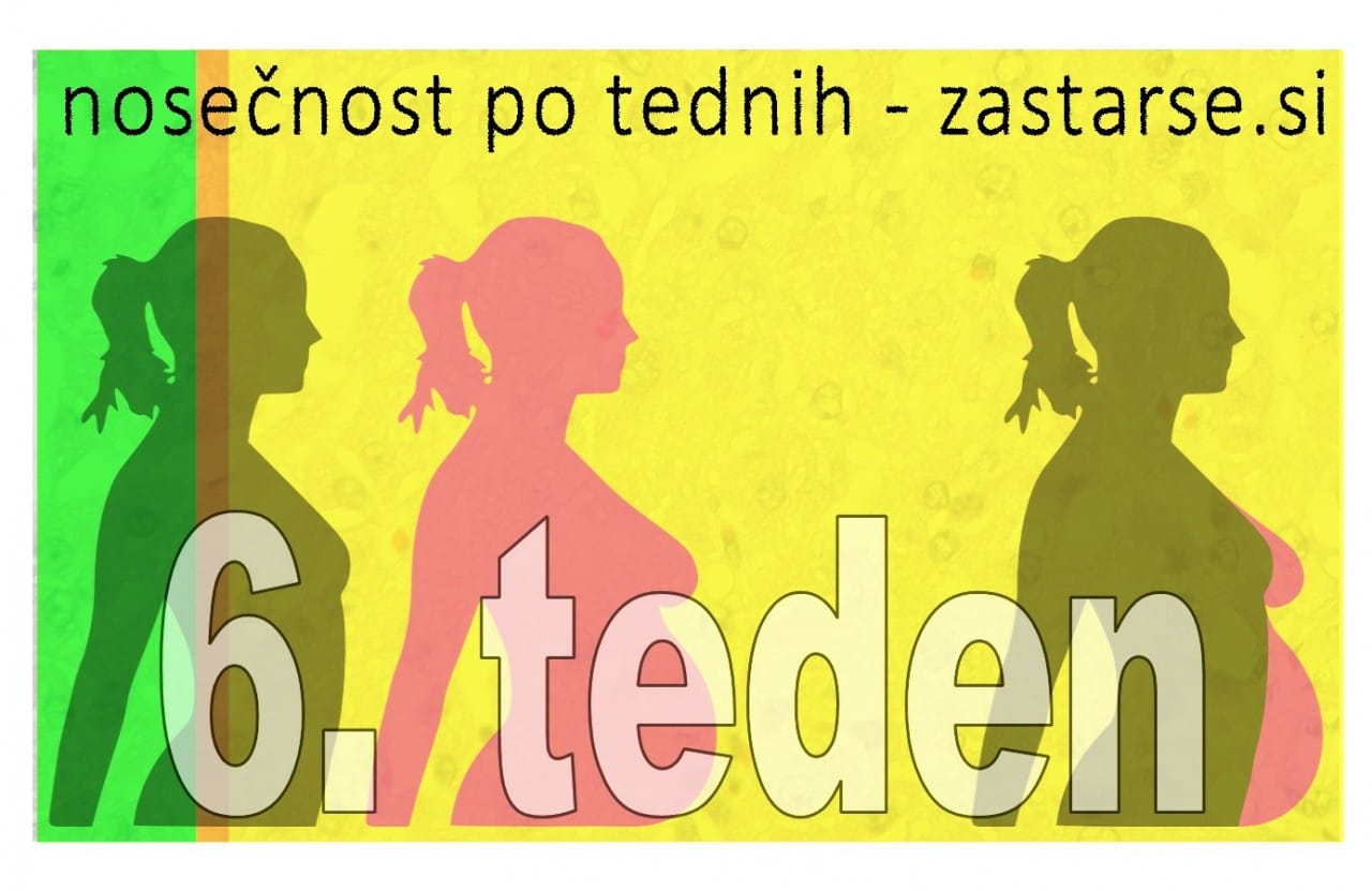 Nosečnost po tednih - 6.teden