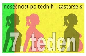 7. teden nosečnosti