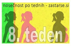 8. teden nosečnosti