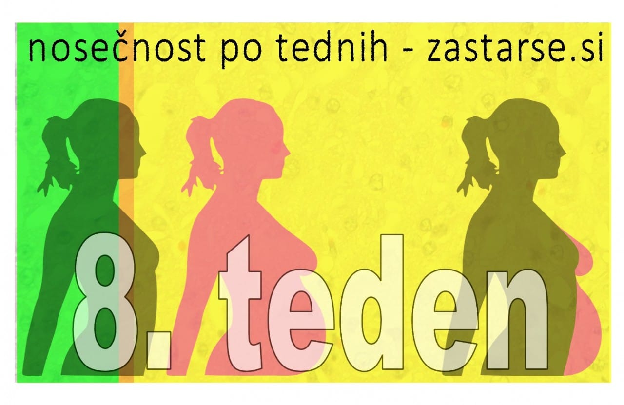 Nosečnost po tednih - 8. teden