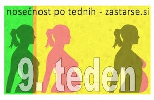 9. teden nosečnosti
