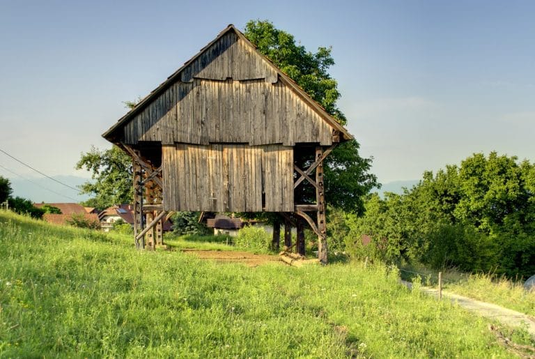 Abeceda starih časov (5)