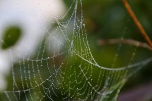 Čustveno izsiljevanje – vas čustveno izsiljujejo?