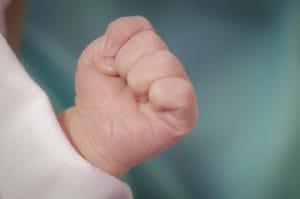 Neskončen vir zaznavanja in pripravljenost sprejemati