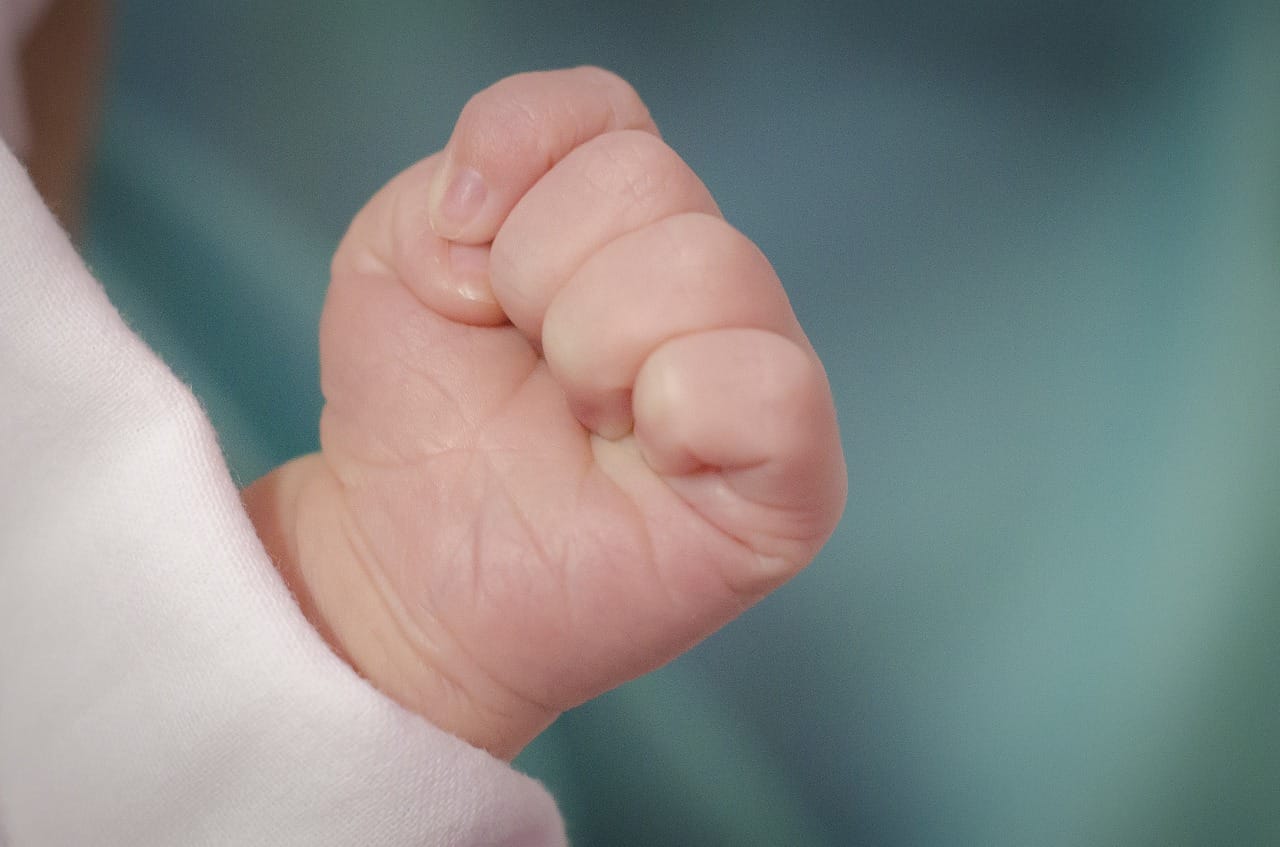 Neskončen vir zaznavanja in pripravljenost sprejemati