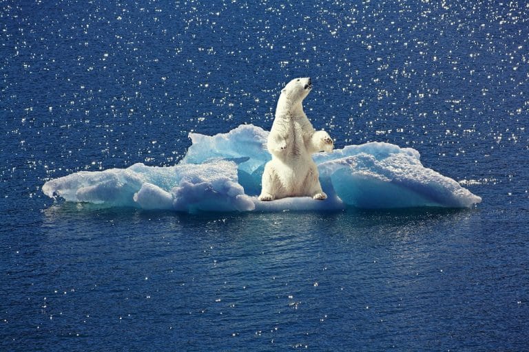 Podučite otroke o klimatskih spremembah