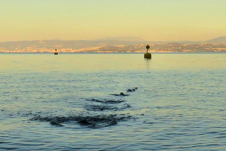 Zaprla sem računalnik in odprla steklenico piva Happy beer